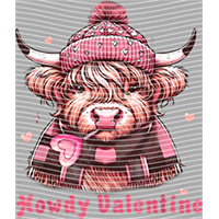 Valentine's Day-QRJ  5357